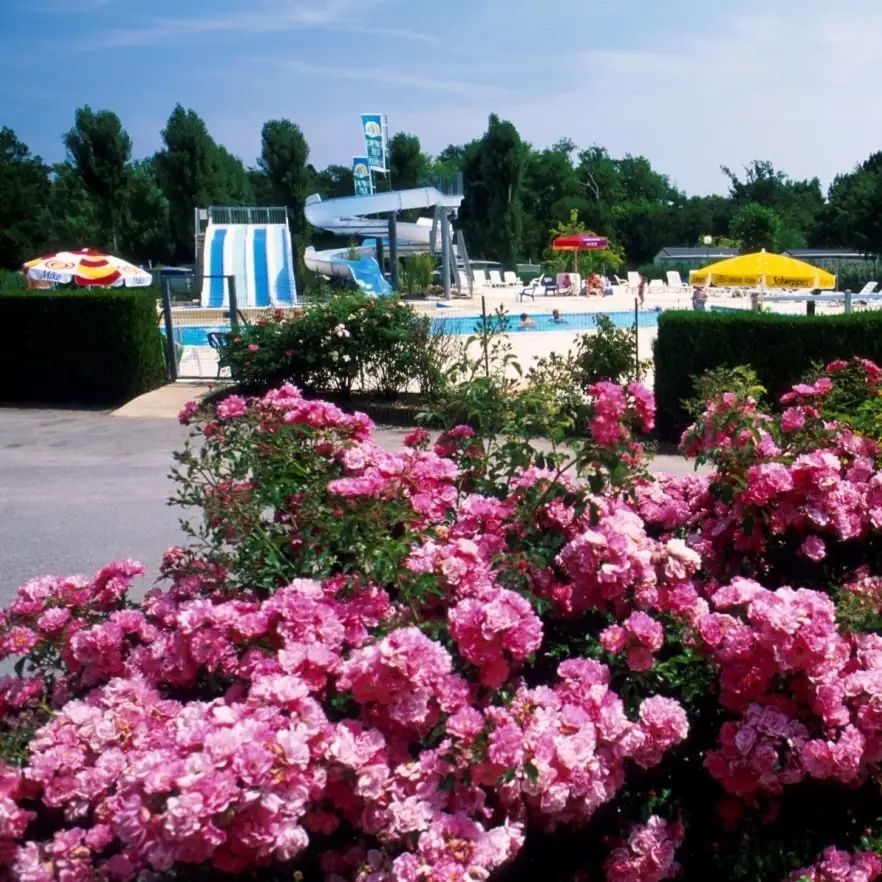 camping dans le golfe du morbihan avec piscine